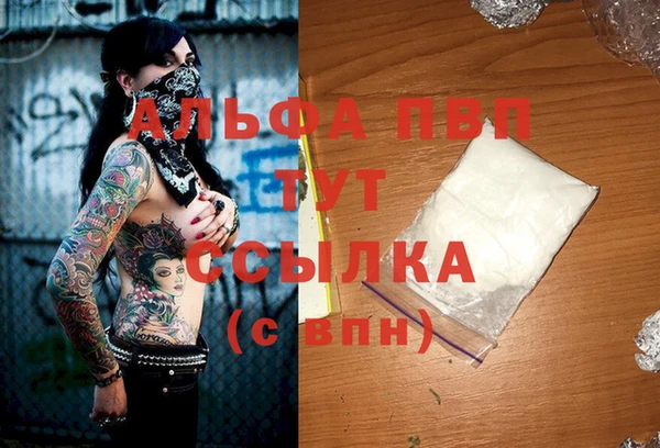 индика Алексеевка
