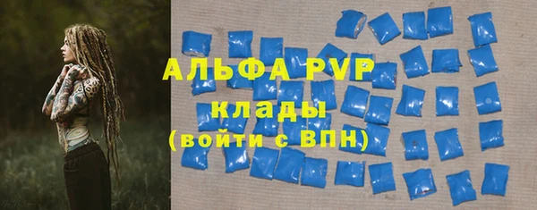 индика Алексеевка