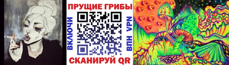 hydra вход  Сясьстрой  Галлюциногенные грибы Psilocybe  где можно купить наркотик 