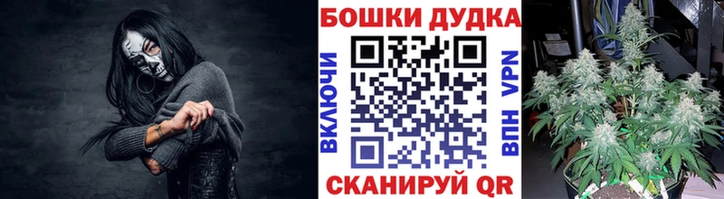 Конопля конопля  Сясьстрой 